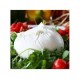 BURRATA DI PLUGIA